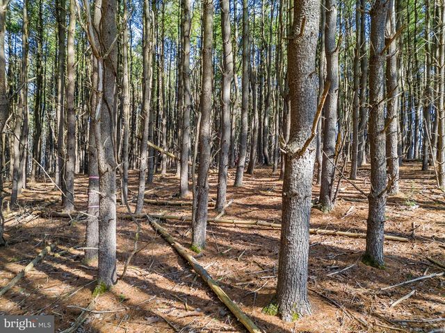 LOT 2D WOODS MILL, Stephenson, VA 22656