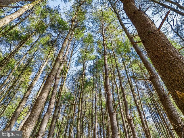 LOT 2D WOODS MILL, Stephenson, VA 22656