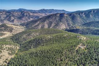 1234 Warren Gulch Road, Idaho Springs, CO 80452