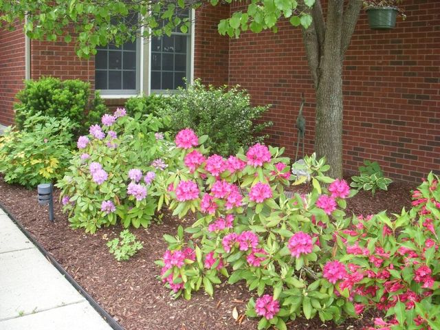 4981 St Annes Court, Ann Arbor, MI 48103