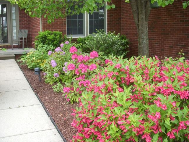 4981 St Annes Court, Ann Arbor, MI 48103