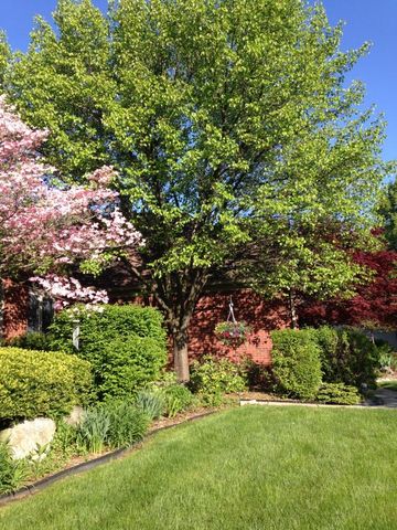 4981 St Annes Court, Ann Arbor, MI 48103