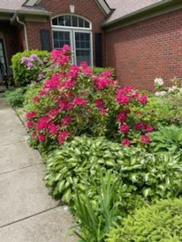 4981 St Annes Court, Ann Arbor, MI 48103