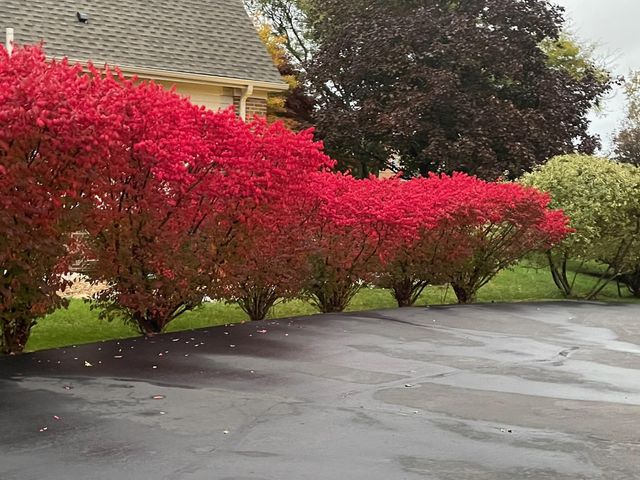 4981 St Annes Court, Ann Arbor, MI 48103