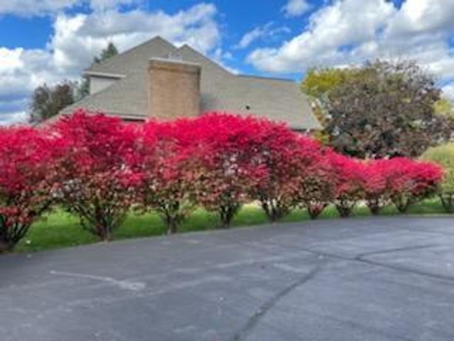 4981 St Annes Court, Ann Arbor, MI 48103