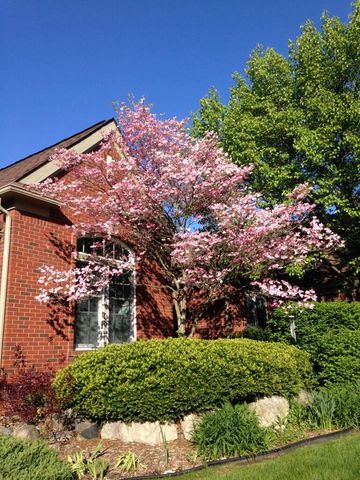 4981 St Annes Court, Ann Arbor, MI 48103