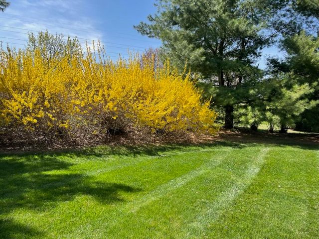 4981 St Annes Court, Ann Arbor, MI 48103