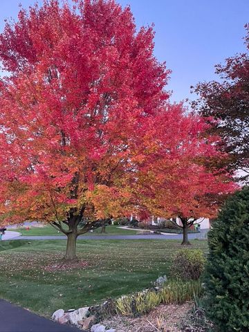 4981 St Annes Court, Ann Arbor, MI 48103