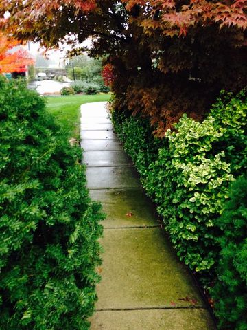 4981 St Annes Court, Ann Arbor, MI 48103