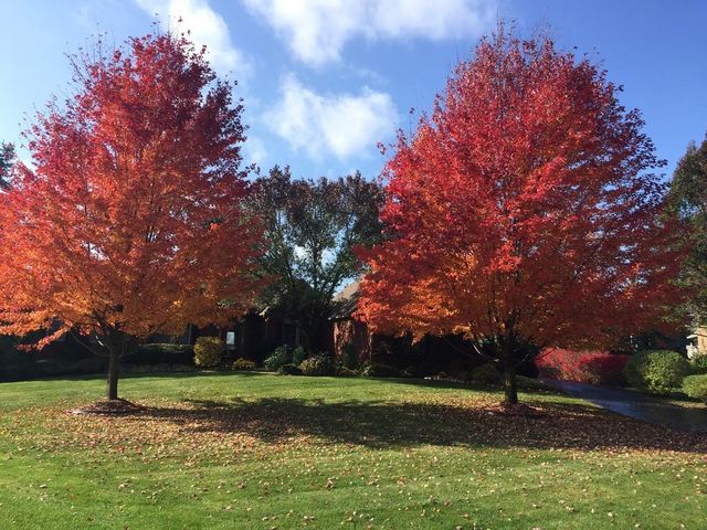 4981 St Annes Court, Ann Arbor, MI 48103