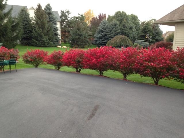 4981 St Annes Court, Ann Arbor, MI 48103