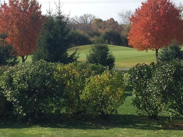 4981 St Annes Court, Ann Arbor, MI 48103