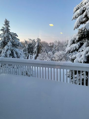 4981 St Annes Court, Ann Arbor, MI 48103