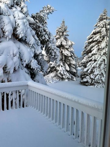 4981 St Annes Court, Ann Arbor, MI 48103