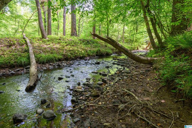 1352 COUNTY ROAD 185, Jemison, AL 35085