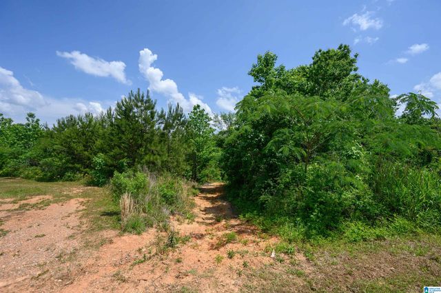 1352 COUNTY ROAD 185, Jemison, AL 35085