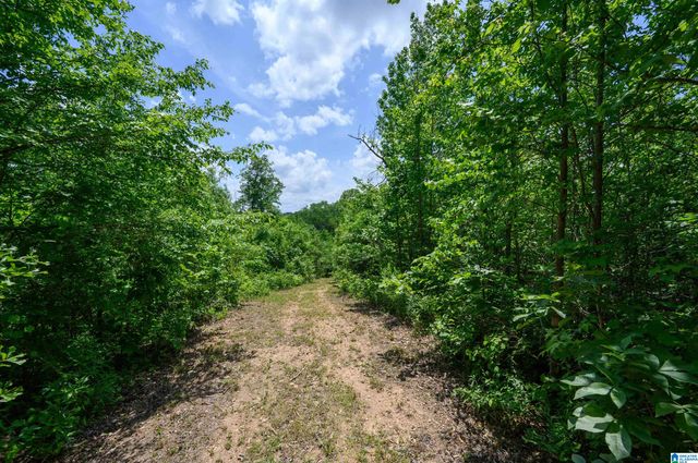 1352 COUNTY ROAD 185, Jemison, AL 35085