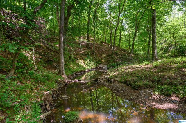 1352 COUNTY ROAD 185, Jemison, AL 35085