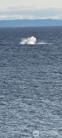 10475 Manitou Beach Drive NE, Bainbridge Island, WA 98110