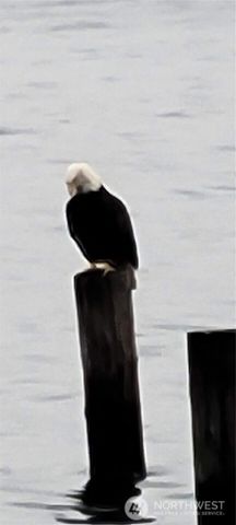 10475 Manitou Beach Drive NE, Bainbridge Island, WA 98110