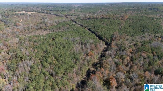 1122 MONTEVALLO ROAD, Centreville, AL 35042