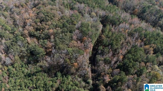 1122 MONTEVALLO ROAD, Centreville, AL 35042