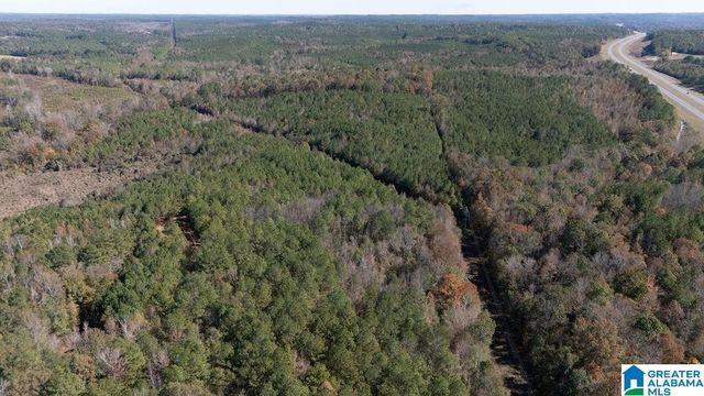 1122 MONTEVALLO ROAD, Centreville, AL 35042