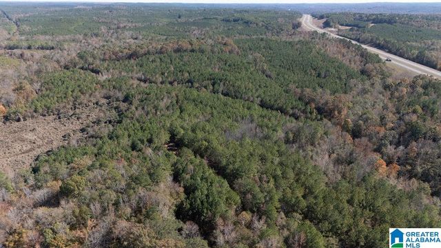 1122 MONTEVALLO ROAD, Centreville, AL 35042