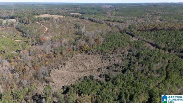 1122 MONTEVALLO ROAD, Centreville, AL 35042