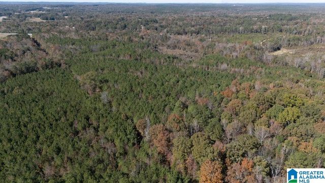 1122 MONTEVALLO ROAD, Centreville, AL 35042