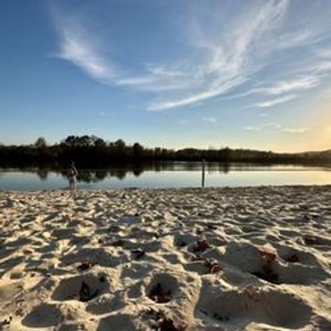 3009 Kimley Shores Dr, Hendersonville, TN 37075