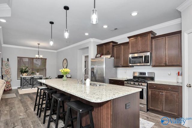 270 Falcon Ridge Drive, New Market, AL 35761