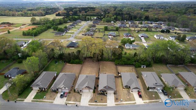 270 Falcon Ridge Drive, New Market, AL 35761