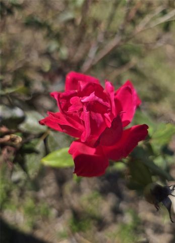 3604 DELTA PLACE, Holiday, FL 34691