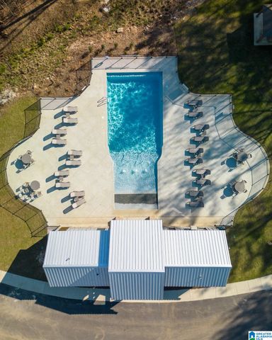 3064 OAKRIDGE WAY, Chelsea, AL 35043