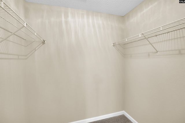 420 Robins Egg Drive, Columbia, SC 29229