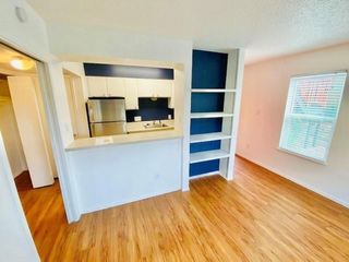 808 Winflo 101, Austin, TX 78703