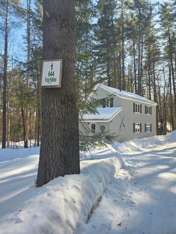 1 Frog Hollow, Wilmington, VT 05363