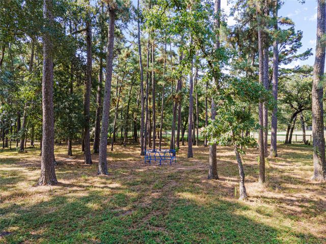 32770 Willow Bend Lane, Waller, TX 77484