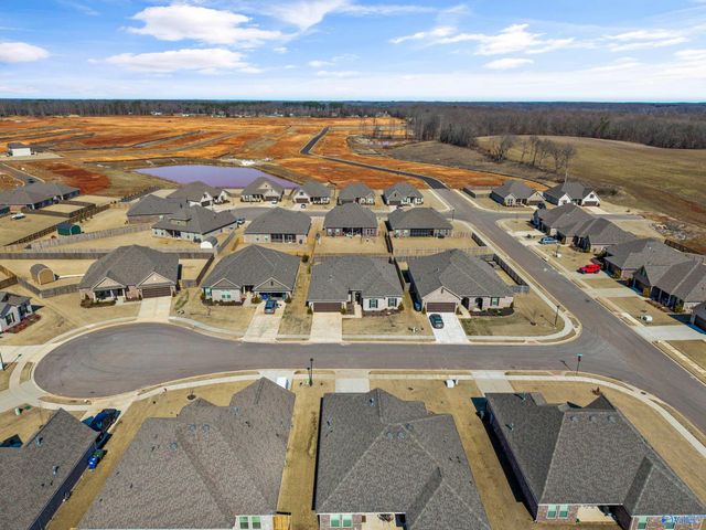 103 Tanner Drake Court, New Market, AL 35761