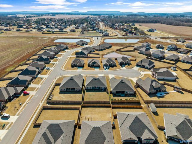 103 Tanner Drake Court, New Market, AL 35761