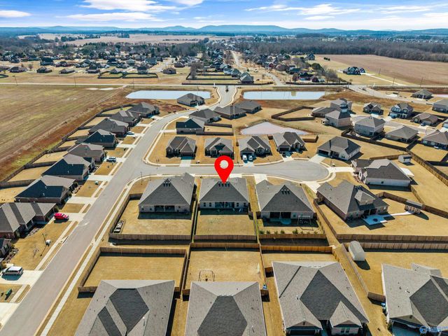 103 Tanner Drake Court, New Market, AL 35761