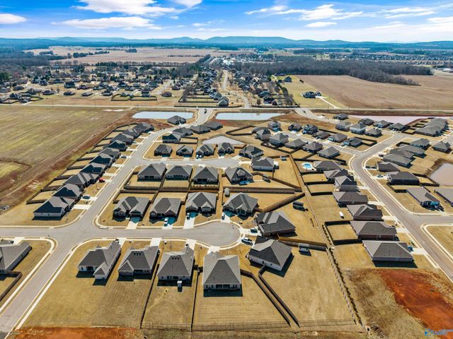 103 Tanner Drake Court, New Market, AL 35761