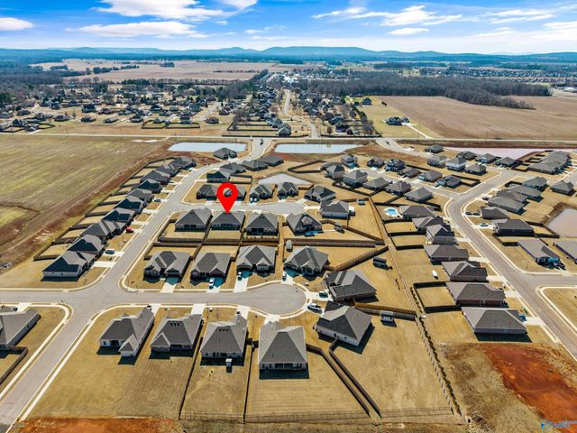 103 Tanner Drake Court, New Market, AL 35761