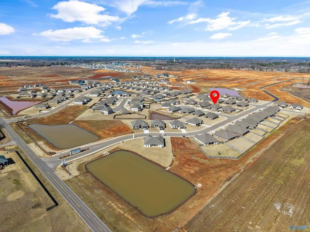 103 Tanner Drake Court, New Market, AL 35761