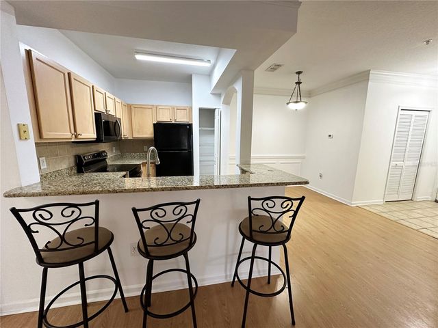 12843 MADISON POINTE CIRCLE E 201, Orlando, FL 32821
