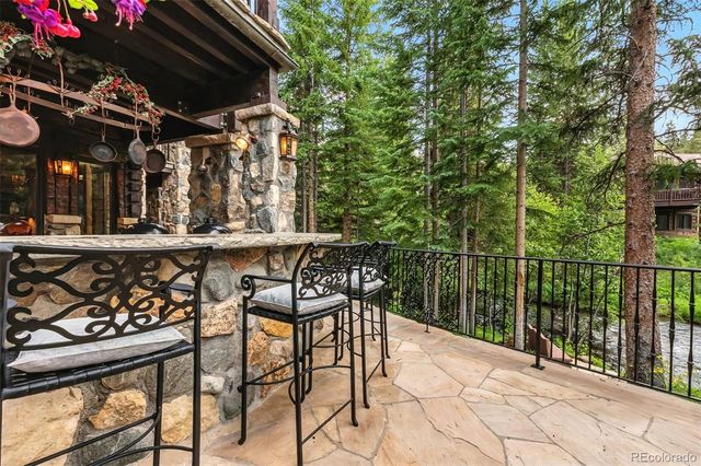 165 River Park Drive, Breckenridge, CO 80424