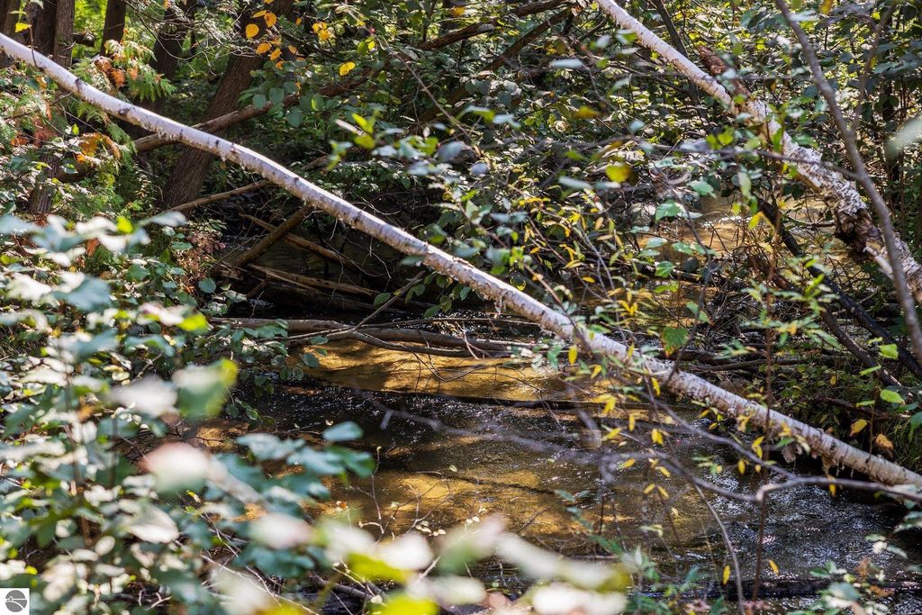 Image 27 of property listing at 5961 E Oslo Street, Williamsburg, MI 49690