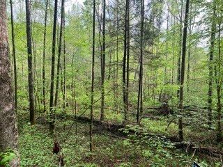 102 Bear Den Trl, Grandview, TN 37337