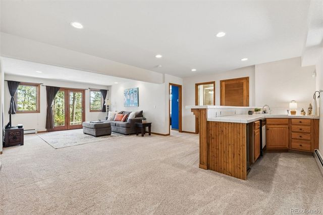1106 County Road 65, Evergreen, CO 80439
